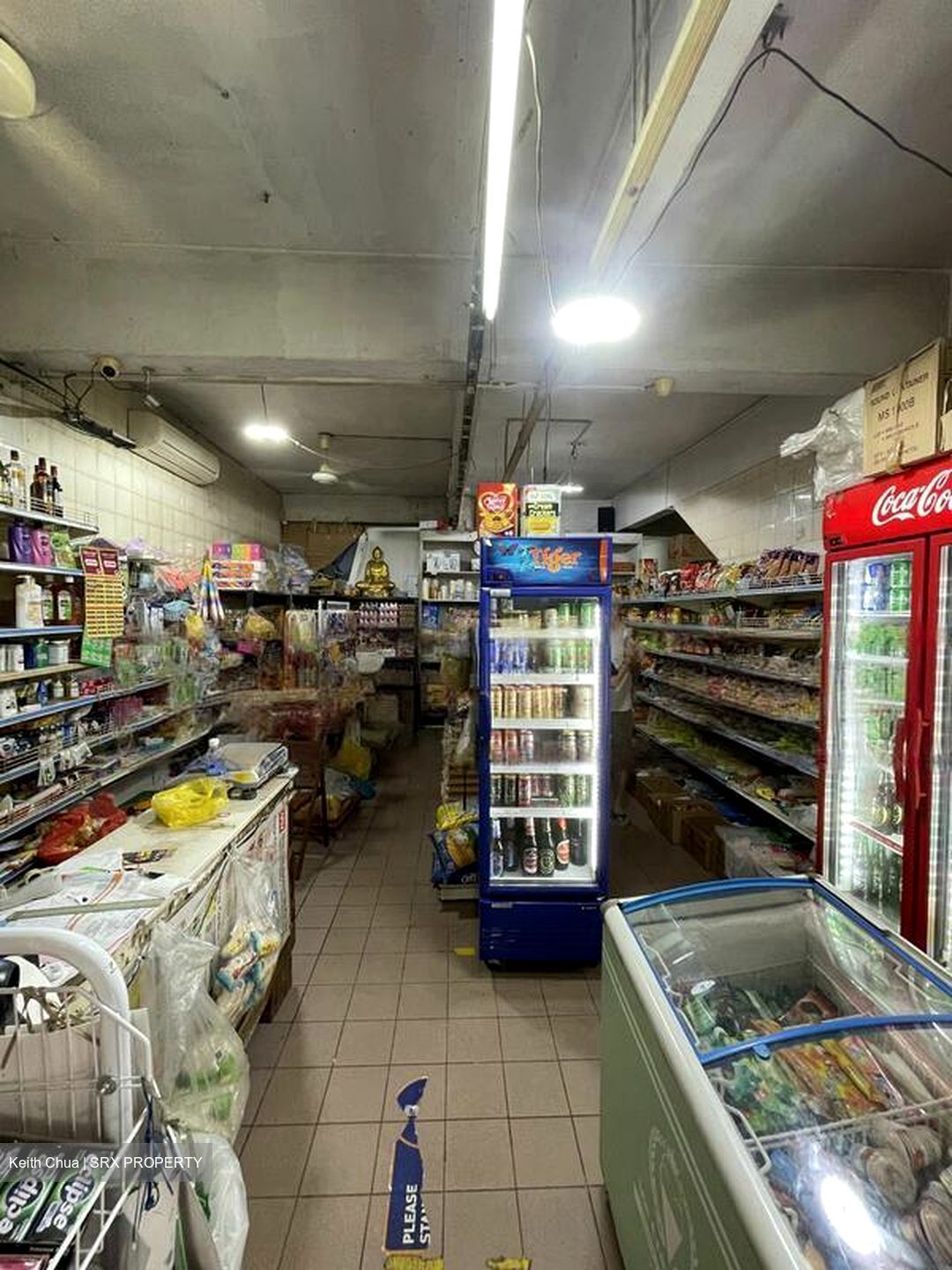 Upper Paya Lebar Road (D19), Shop House #491233081